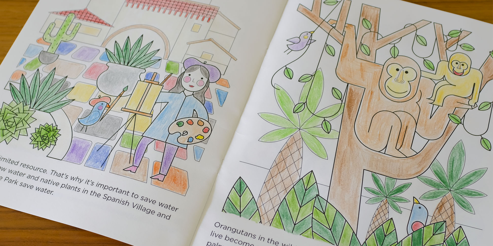 Balboa Park Coloring book interior pages